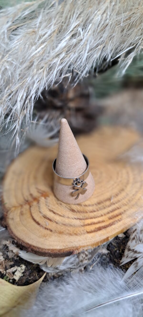 BAGUE ARGENTEÉ – Image 4