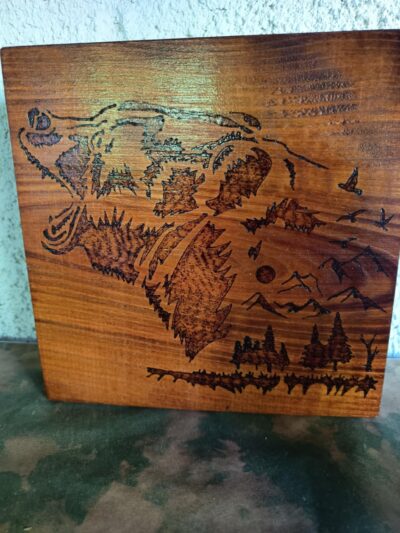 Dessous de plat grizzly