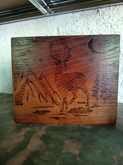Dessous de plat cerf paysage de montagne